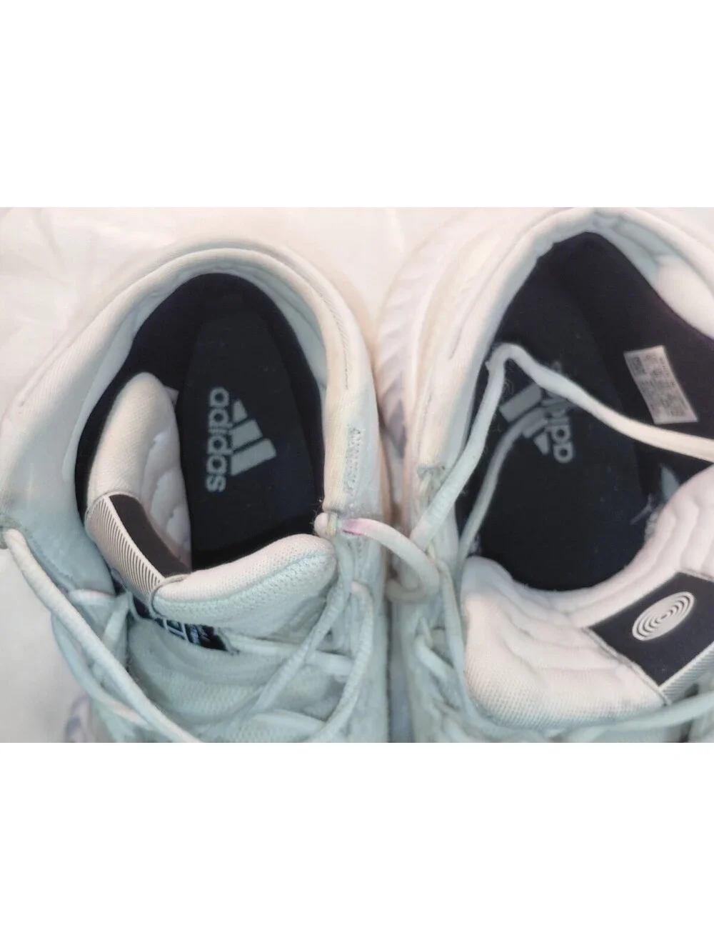 adidas pro bounce